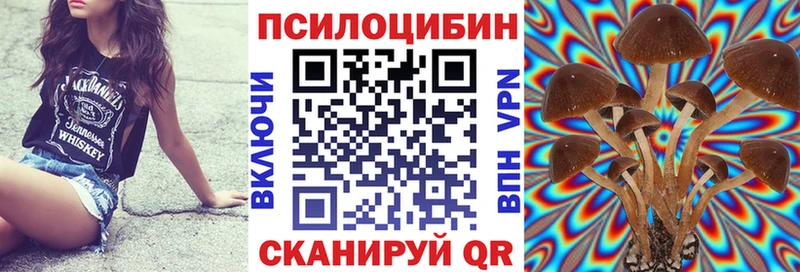 kraken зеркало  Суздаль  Псилоцибиновые грибы мухоморы 